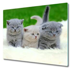 Sklenená doska na krájanie Tri mačky na deku 60x52 cm