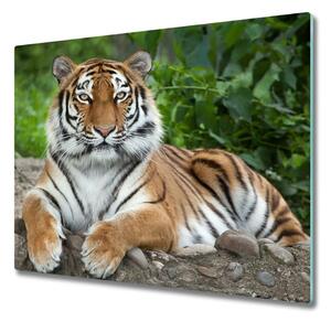 Sklenená doska na krájanie Sibírsky tiger 60x52 cm