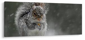Obraz - Veverička v zime (120x50 cm)
