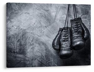 Obraz - Boxerské rukavice (70x50 cm)