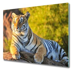 Sklenená doska na krájanie Portrét tigra 60x52 cm