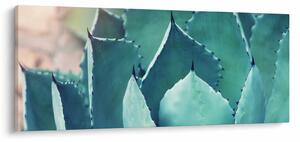 Obraz - Sukulent (120x50 cm)