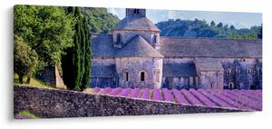 Obraz - Levanduľové pole (120x50 cm)