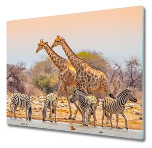 Sklenená doska na krájanie Žirafy a zebry 60x52 cm