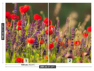 Fototapeta Vliesová Poľné kvety 208x146 cm