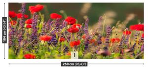 Fototapeta Vliesová Poľné kvety 250x104 cm