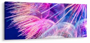 Obraz - Makro (120x50 cm)