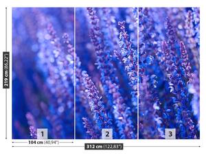 Fototapeta Vliesová Levanduľovej kvety 312x219 cm