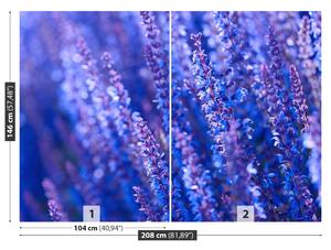 Fototapeta Vliesová Levanduľovej kvety 208x146 cm