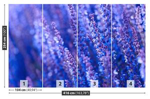 Fototapeta Vliesová Levanduľovej kvety 416x254 cm
