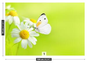 Fototapeta Vliesová Motýľ a harmanček 104x70 cm
