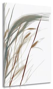 Obraz steblá trávy s nádychom minimalizmu