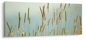 Obraz - Lúčny okamih (120x50 cm)