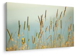 Obraz - Lúčny okamih (90x60 cm)
