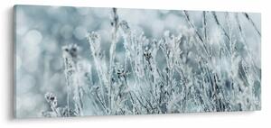 Obraz - Kúzlo zimy (120x50 cm)