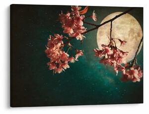Obraz - Sakura v splne (70x50 cm)