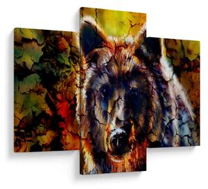 Obraz - Medveď, maľba (90x60 cm)
