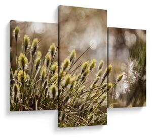 Obraz - Zeleň (90x60 cm)