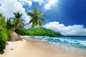 Fototapeta nádherná pláž na ostrove Seychely