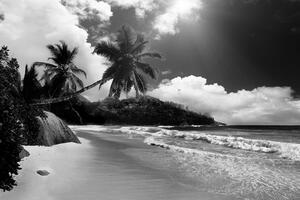 Samolepiaca fototapeta pláž na ostrove Seychely v čiernobielom