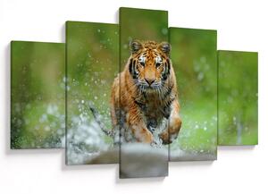 Obraz - Bežiaci tiger (150x105 cm)