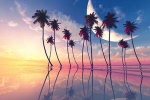 Tapeta západ slnka nad tropickými palmami