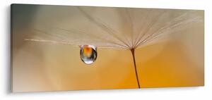 Obraz - Makro kvetu (120x50 cm)