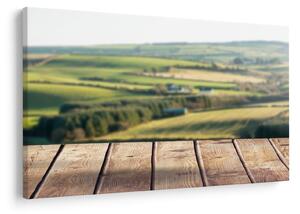 Obraz - Výhľad na krajinu (90x60 cm)