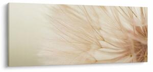 Obraz - Detaily kvetu (120x50 cm)