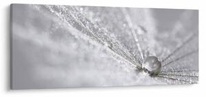 Obraz - Kvapka vody (120x50 cm)