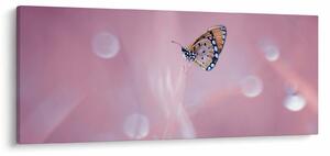 Obraz - Motýlik (120x50 cm)