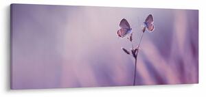 Obraz - Fialové motýliky (120x50 cm)
