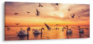 Obraz - Labute (120x50 cm)