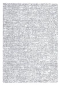 TKANÝ KOBEREC, 80/150 cm sivá, strieborná Kayoom - Online Only bytové doplnky, Online Only