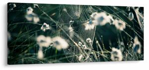 Obraz - Pavučina (120x50 cm)