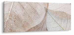 Obraz - Béžové listy (120x50 cm)