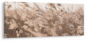 Obraz - Lúčny vánok (120x50 cm)