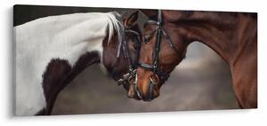 Obraz - Zamilované kone (120x50 cm)