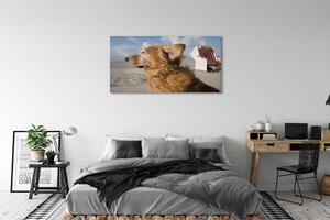 Obraz na plátne Hnedý pes beach 125x50 cm