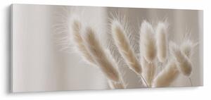 Obraz - Zajačie chvostíky (120x50 cm)