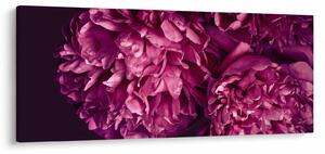 Obraz - Kytica pivoniek (120x50 cm)