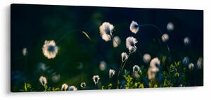 Obraz - Tráva (120x50 cm)