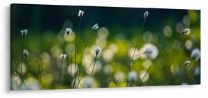 Obraz - Tráva (120x50 cm)