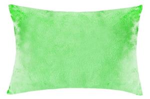 XPOSE® Mikroplyšová obliečka na vankúš - letná zelená 40x60 cm