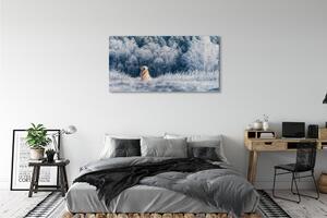 Obraz na plátne Zime salašnícky pes 125x50 cm