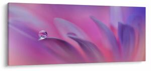 Obraz - Kvapka na kvete (120x50 cm)