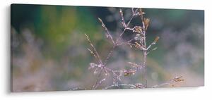 Obraz - Detail traviny (120x50 cm)