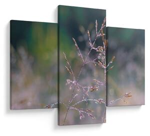 Obraz - Detail traviny (90x60 cm)