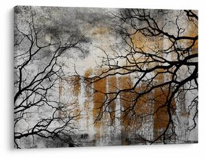 Obraz - Siluety stromov (70x50 cm)