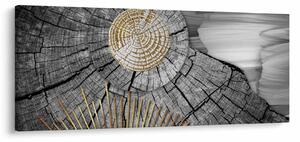 Obraz - Kmeň stromu v koláži (120x50 cm)
